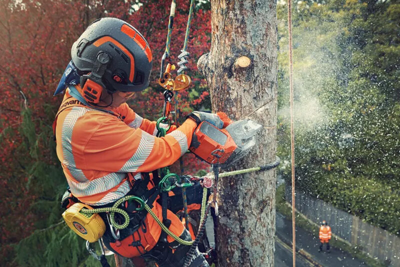 Battery Chainsaws Review