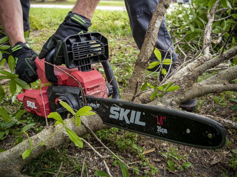 Battery Chainsaws Review