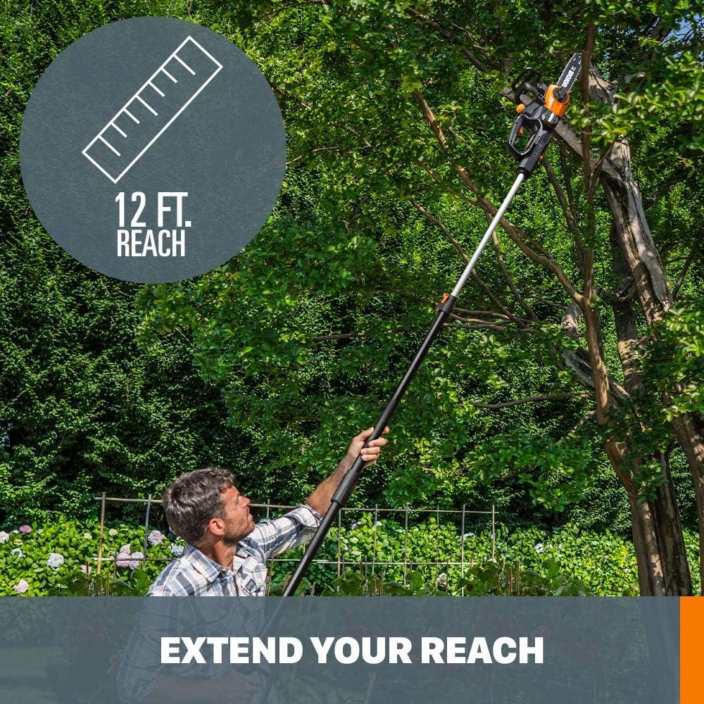 Why We Love the Worx WG323 20V cordless Pole saw for Trimming