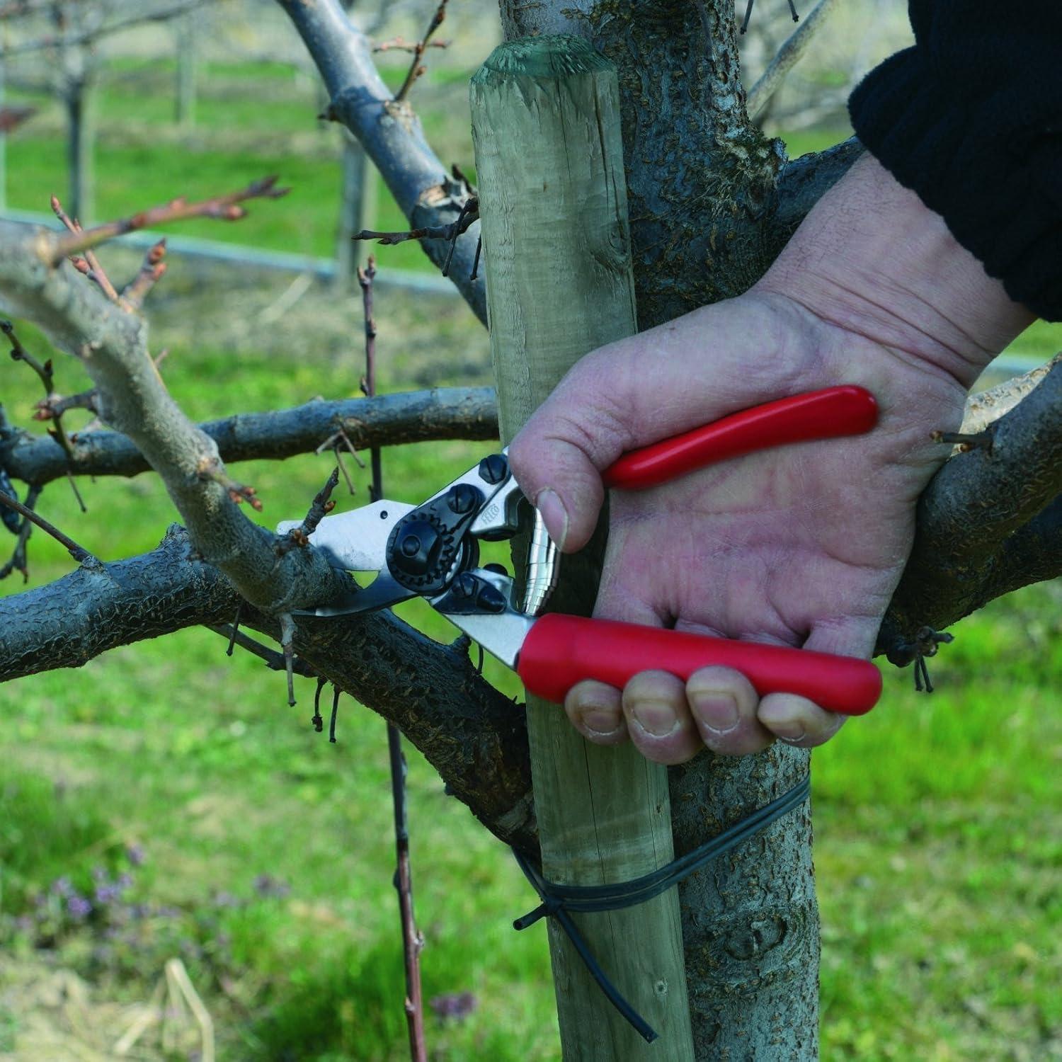 Our Review: felco F 6 Swiss Pruners - Lightweight & Precise garden Tools