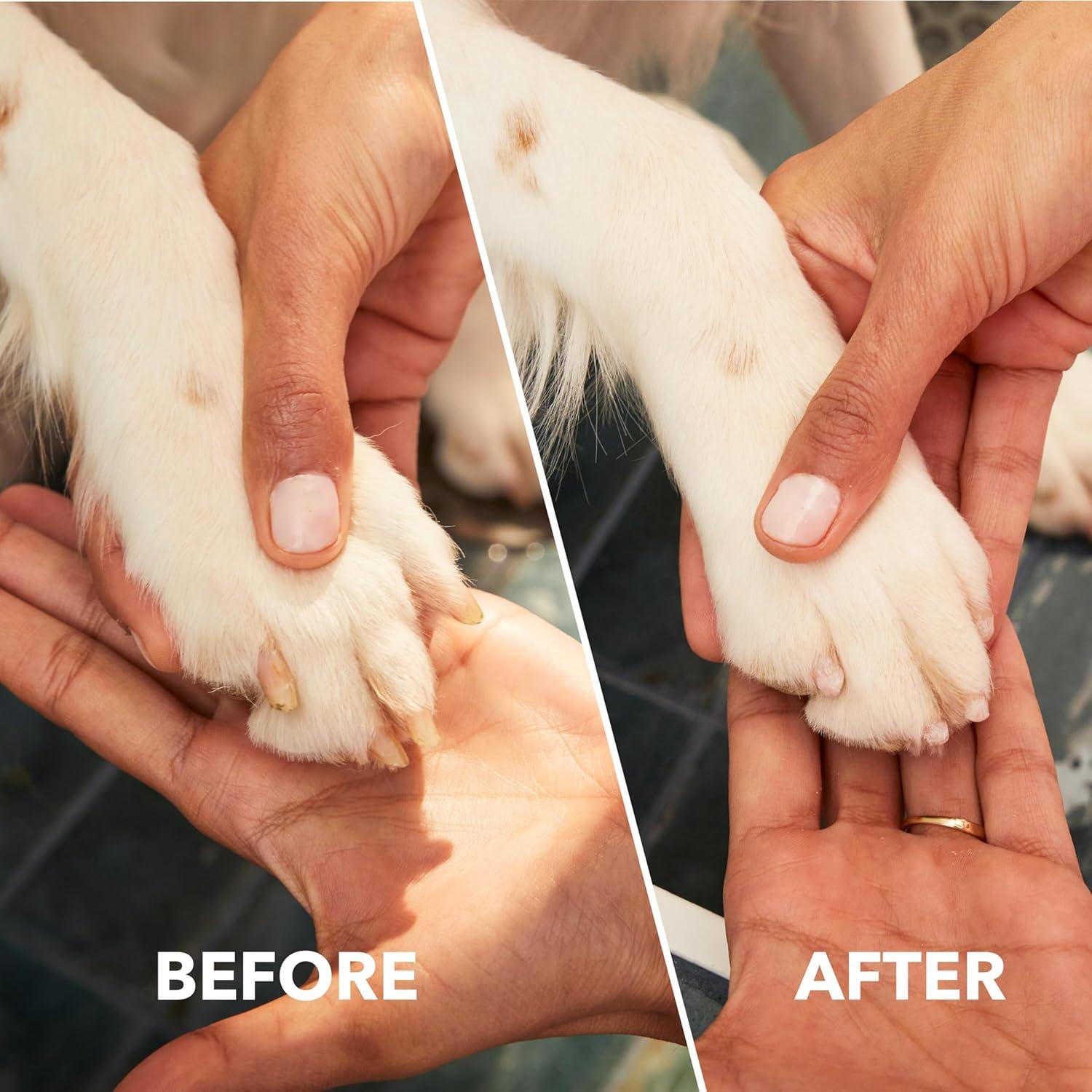 our Honest Review of the Dremel PawControl​ 7760-PGK Nail Grinder