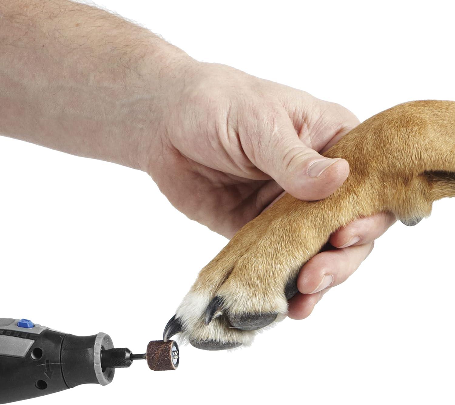 Our Honest Review of the Dremel ​PawControl ⁤7760-PGK Nail Grinder