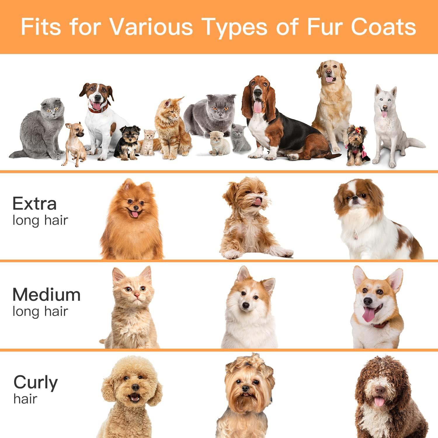 How We Tamed Shedding with ‍Our 12000Pa Dog Vacuum Kit