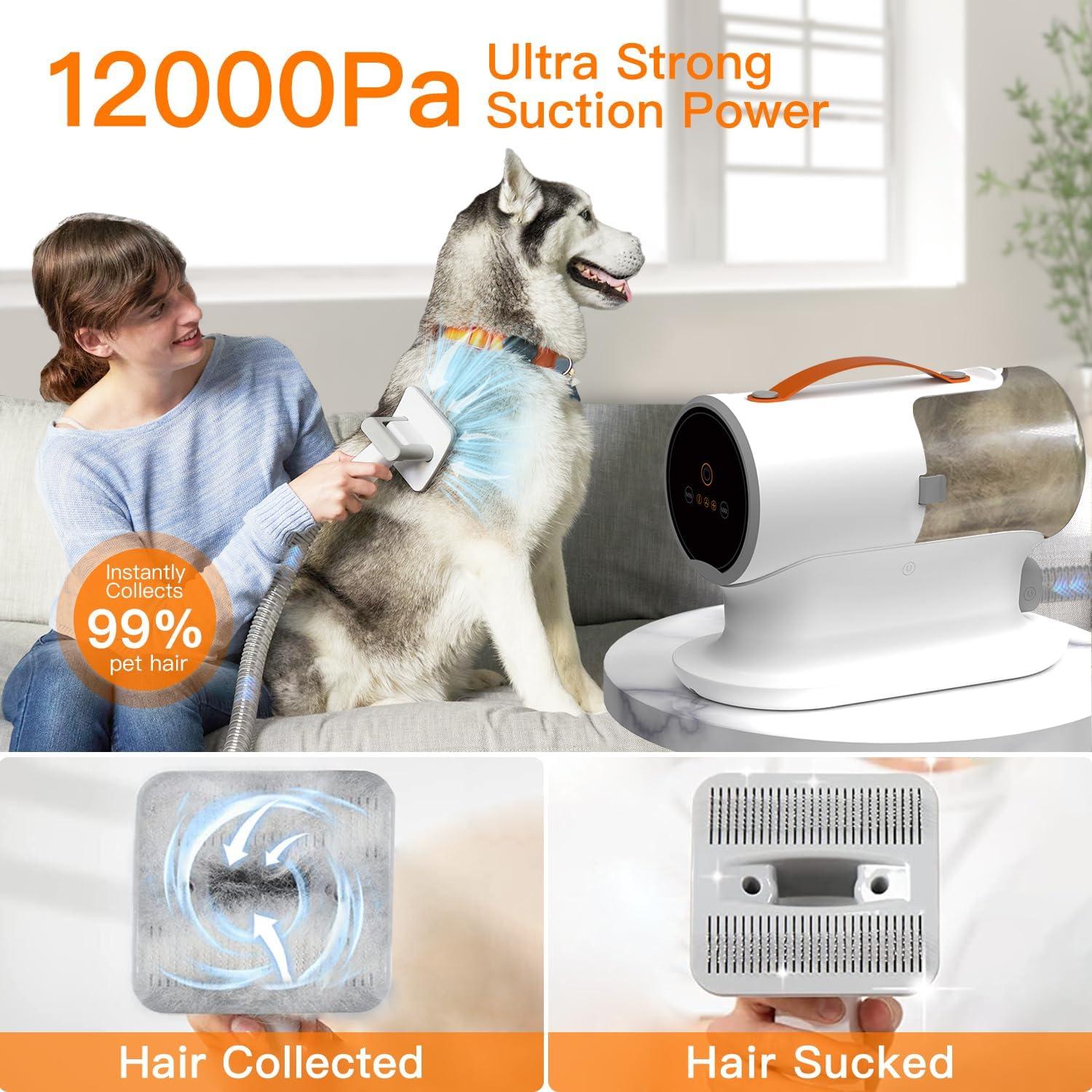 How ⁣We Tamed Shedding with Our 12000Pa Dog Vacuum Kit