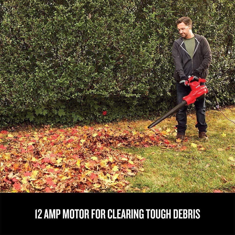 Top CRAFTSMAN Tools: Leaf Blowers and Powerful Shop Vacs 2 Top CRAFTSMAN Tools: Leaf Blowers and Powerful Shop Vacs