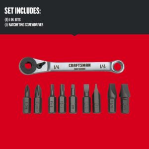 CRAFTSMAN 10-Piece Ratcheting Offset Screwdriver Multi-Bit Set