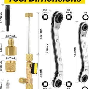 Professional HVAC Valve Core Remover Tool Kit – 15 Cores, 4 Hex Adapters, AC Repair Set
