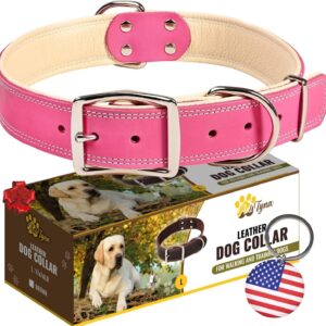 ADITYNA Heavy-Duty Pink Leather Dog Collar for Large Dogs - Lined with Soft Leather - Girl Dog Collar for Walking, Training, and Hiking