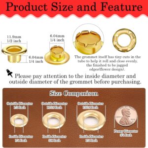 803Pcs Grommet Eyelet Tool Kit for Leather Craft w/ Gold Silver Eyelets