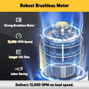 Cordless Detail Sander 20V MAX | Brushless Corner Sander for Wood Metal Tight Spaces