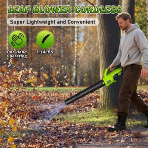 Effortless Lawn Care: RYAHT Cordless Leaf Blower Review