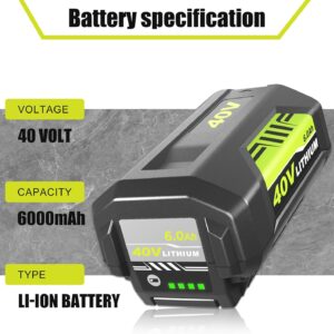 Essential Review: 2 Pack Ryobi 40V Battery & Charger Combo