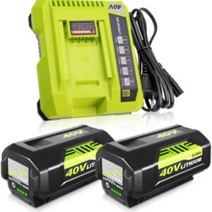 Essential Review: 2 Pack Ryobi 40V Battery & Charger Combo
