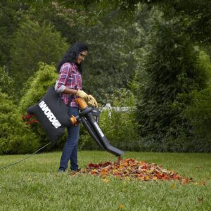 Unleashing the Power of the WORX WG509: Your Lawn’s Best Friend
