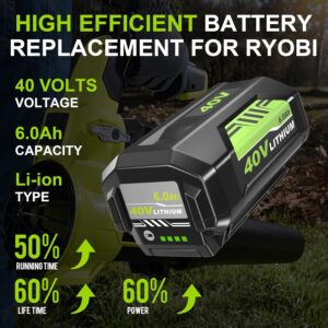 Maximize Your Tools: A Review of 2Pack 6.0Ah Ryobi Batteries