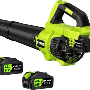 Effortless Lawn Care: Reviewing the Powerful Cordless Leaf Blower