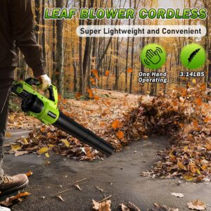 Effortless Lawn Care: Reviewing the Powerful Cordless Leaf Blower