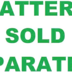 Exploring the RYOBI 40V 1800W Portable Inverter: A Review