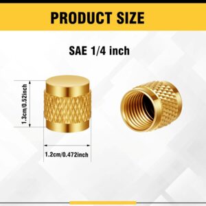 Brass Flare Valve Caps 100-Pack HVAC Refrigerant O-Ring Compression Seals