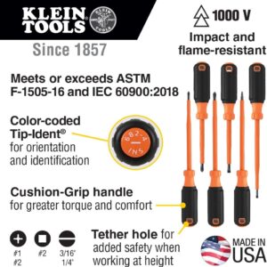 Klein Tools 85076INS 1000V USA-Made 6-Piece Insulated Electrician Screwdriver