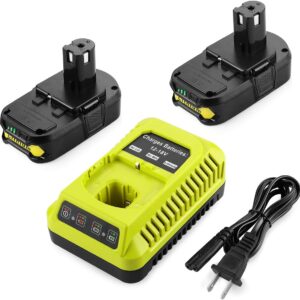 Reviewing the Energup 18V Battery Combo for Ryobi Tools
