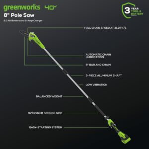 Cutting Edge: Greenworks 40V Cordless Polesaw Review