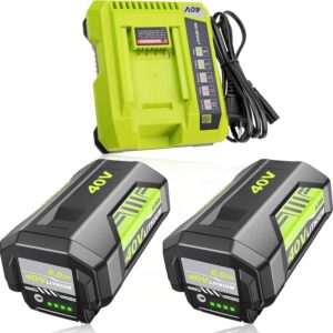 Ultimate Review: 2Pack 6000mAh OP4026 Battery for Ryobi Tools