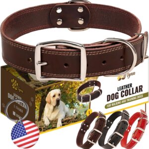 ADITYNA Heavy Duty Leather Dog Collar for Large Dogs - Soft and Strong Leather Collar for Walking, Training, Hunting, and Running (Large: Fit 17" - 23" Neck, Brown)