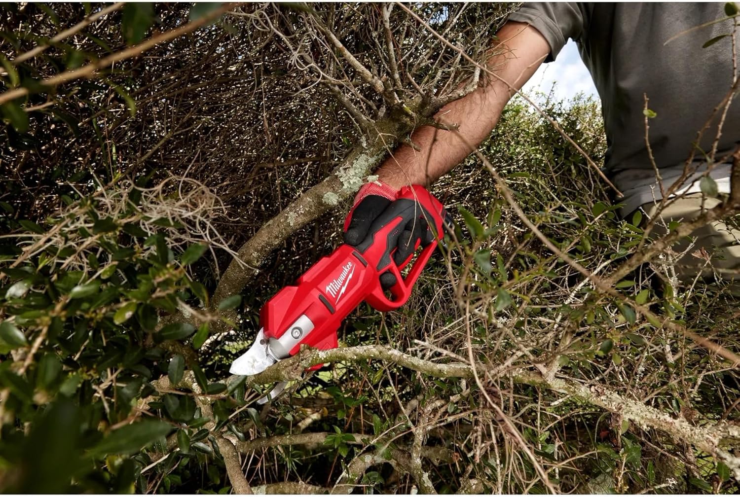 Milwaukee M12 Brushless Cordless Electric Pruning Shears Kit 7 Milwaukee M12 Brushless Cordless Electric Pruning Shears Kit - Image 7