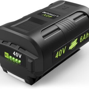 Power Up: Review of the 6000Ah 40V Ryobi Battery Replacement