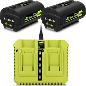 Power Up: Review of BatPower 40V Lithium-Ion Battery Starter Kit
