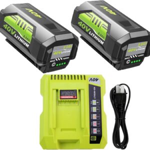 Ultimate Review: 8000mAh OP4075A Battery & Charger for Ryobi