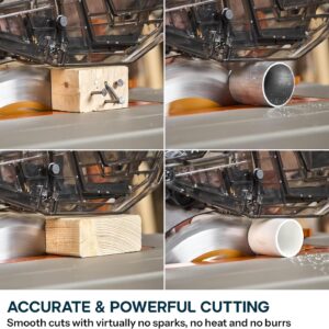 Unleashing Power: Review of the Evolution R10TS Table Saw